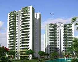 3 BHK Flat for Rent in Chi Phi, Greater Noida