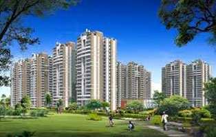 2 BHK Flat for Rent in Sector Pi I Greater Noida