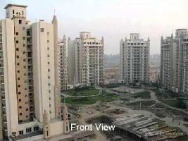 3 BHK Flat for Sale in Sector Chi 4 Greater Noida West
