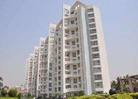 1 BHK Flat for Sale in Golf Course, Greater Noida