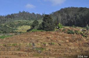  Residential Plot for Sale in Thalayathimund, Ooty