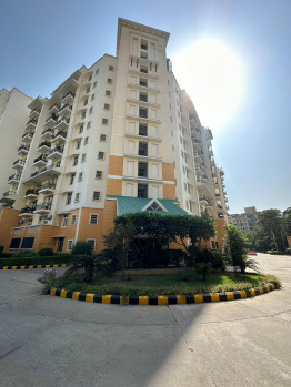  Studio Apartment for Rent in Golf Course Road, Gurgaon