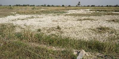  Agricultural Land for Sale in Chaumuhan, Mathura
