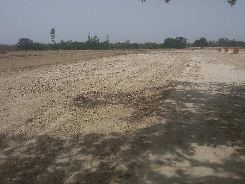  Residential Plot 800 Sq.ft. for Sale in Kanpur Road, Lucknow
