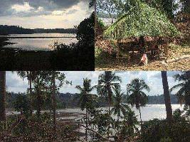  Residential Plot for Sale in Sippighat, Port Blair
