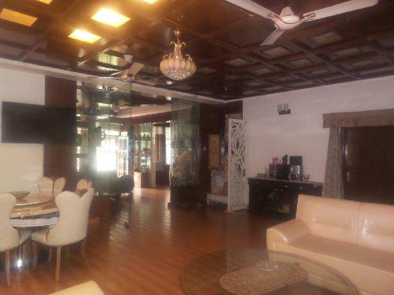10 BHK House & Villa 6500 Sq.ft. for Rent in DLF Phase III, Gurgaon