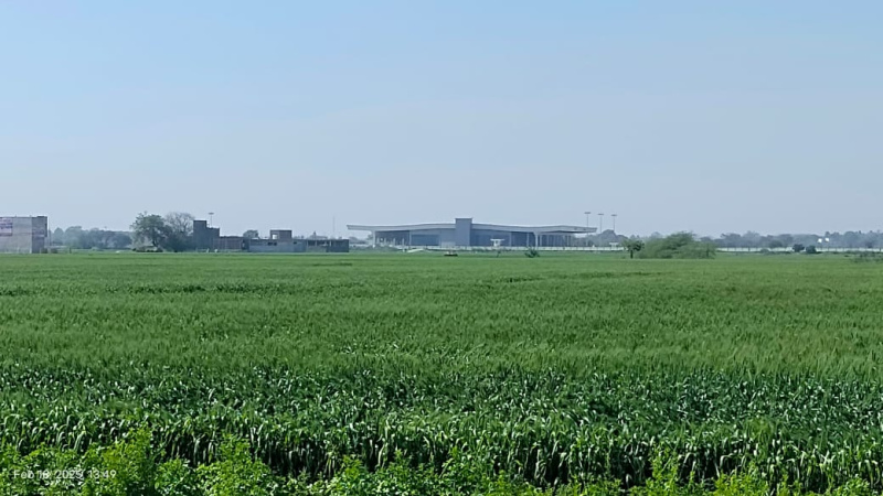  100 Sq. Yards Residential Plot for Sale in Chakeri, Kanpur