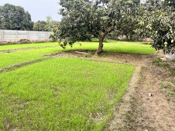  Agricultural Land for Sale in Modinagar, Ghaziabad