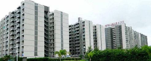 3 BHK Flat for Rent in Apollo DB City, Indore