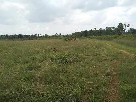  Residential Plot for Sale in ST Colony, Sangli