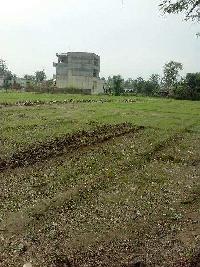  Commercial Land for Sale in Gumaniwala, Rishikesh