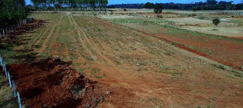  Agricultural Land 10000 Sq.ft. for Sale in Thalli, Hosur