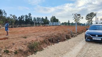  Agricultural Land for Sale in Thalli, Krishnagiri