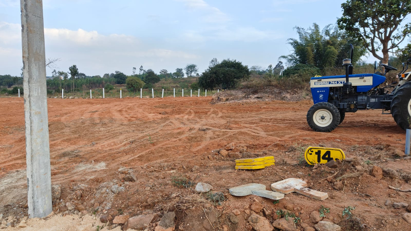  Agricultural Land 10890 Sq.ft. for Sale in Thalli, Krishnagiri