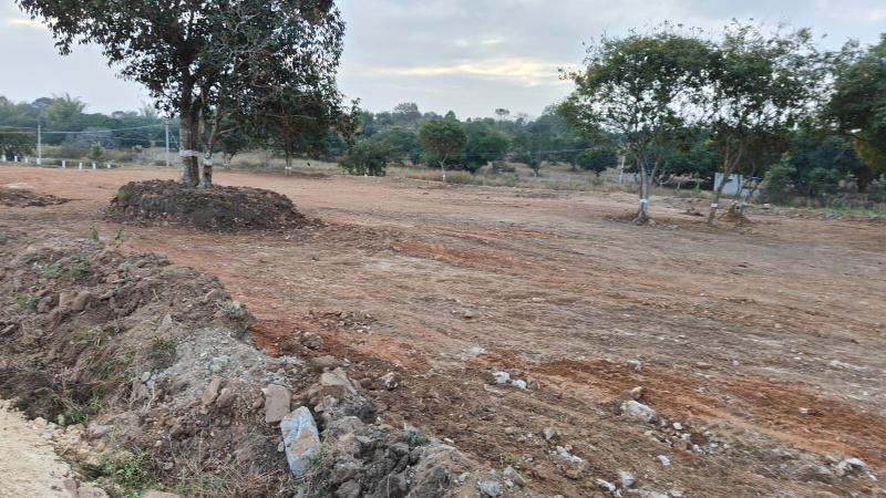  Agricultural Land 10890 Sq.ft. for Sale in Thalli, Krishnagiri