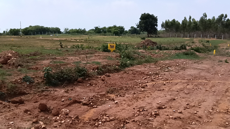  Agricultural Land 10890 Sq.ft. for Sale in Thalli, Hosur