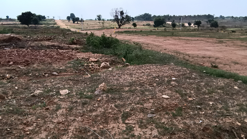  Agricultural Land 10890 Sq.ft. for Sale in Thalli, Hosur