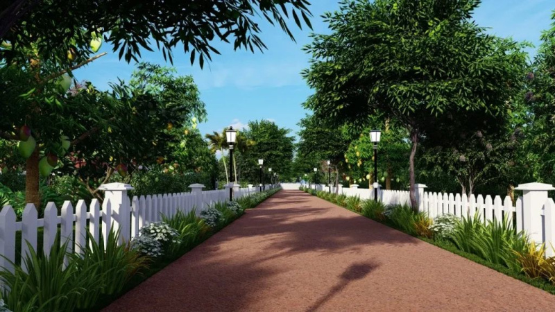  21780 Sq.ft. Agricultural/Farm Land for Sale in Denkanikottai, Krishnagiri