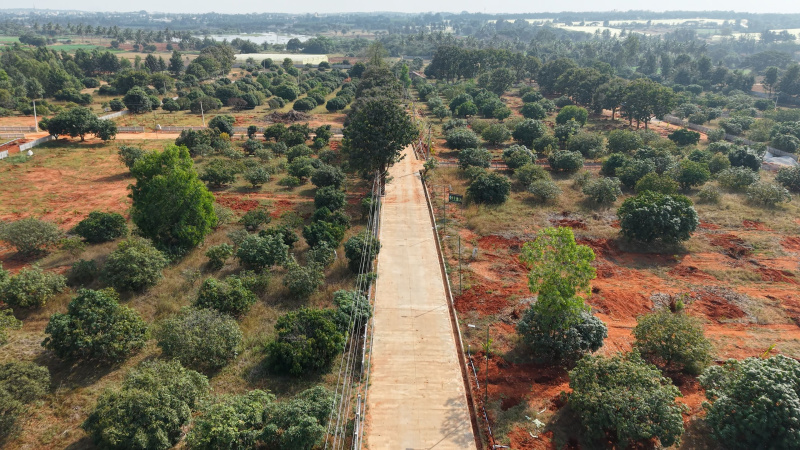  10890 Sq.ft. Agricultural/Farm Land for Sale in Thalli, Hosur