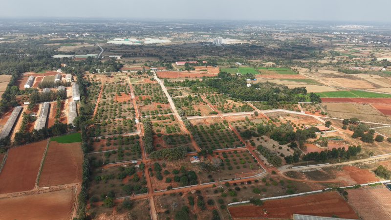  10890 Sq.ft. Agricultural/Farm Land for Sale in Denkanikottai Road, Hosur