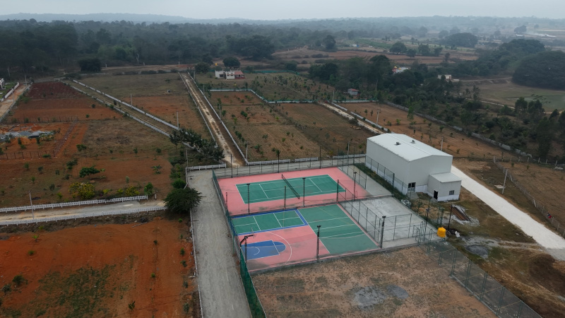 Denkanikottai, Krishnagiri photo 3