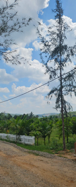 Kodihalli, Bangalore photo 4