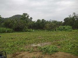  Industrial Land for Sale in Sabbavaram, Visakhapatnam