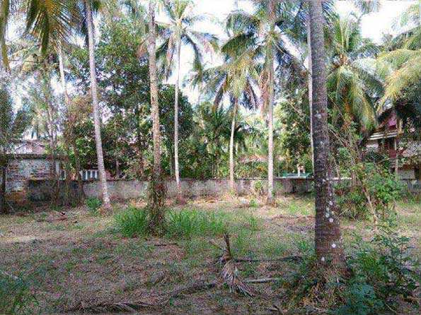 Residential Plot 32 Cent for Sale in