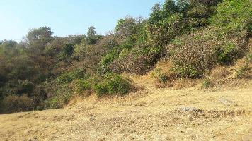  Agricultural Land for Sale in Lonavala, Pune