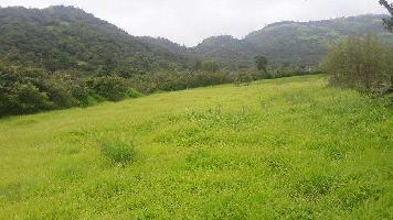  Agricultural Land for Sale in Waksai, Lonavala, Pune