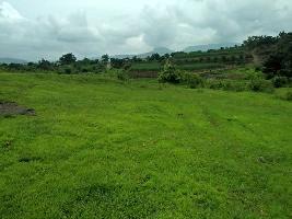  Agricultural Land for Sale in Lonavala, Pune