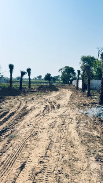  Residential Plot 500 Sq. Yards for Sale in Bawal, Rewari