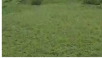  Residential Plot for Sale in Shilly Road, Solan