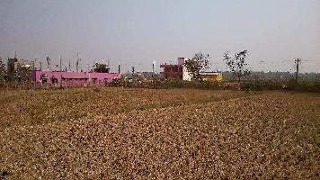  Commercial Land for Sale in Baripada, Mayurbhanj
