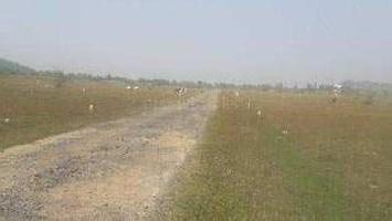  Residential Plot for Sale in Singaperumal Koil, Chennai