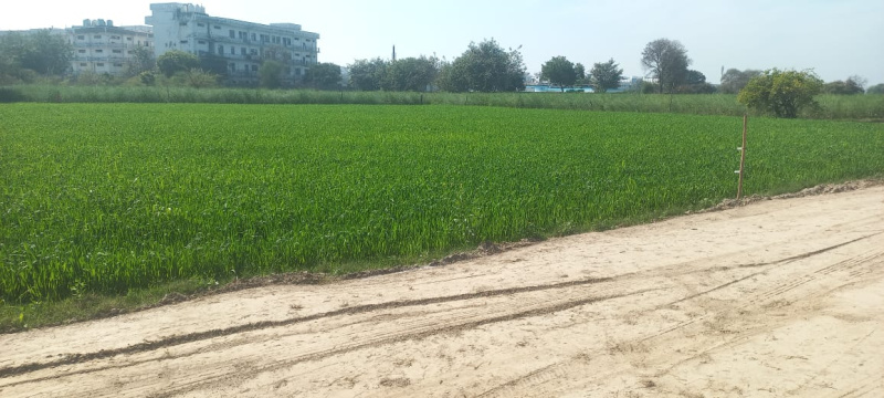 Agricultural Land 500 Sq.ft. for Sale in Delhi Agra Highway, Mathura