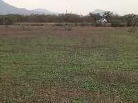 Residential Plot for Sale in Pichatur, Chittoor