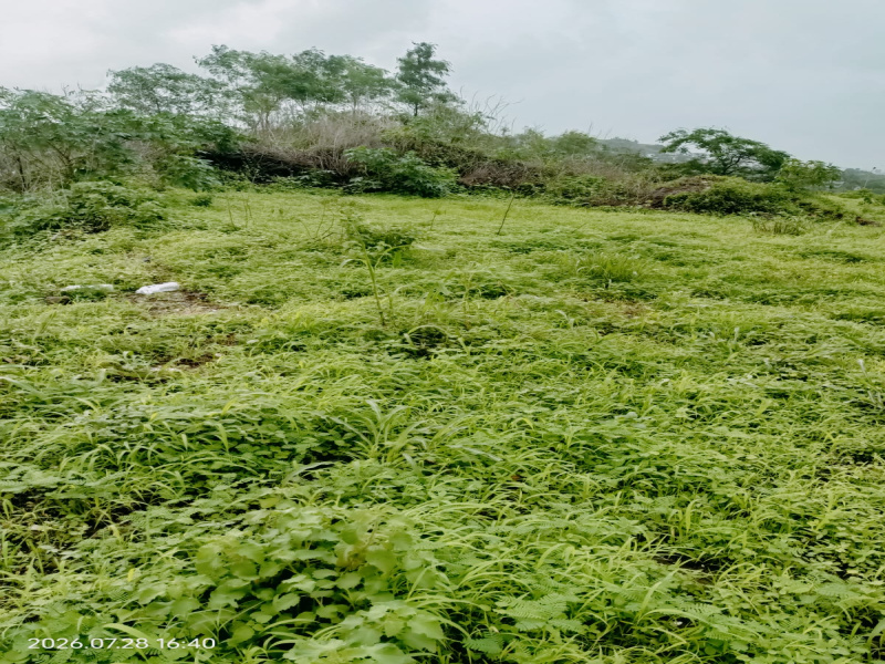 Ulwe, Navi Mumbai photo 5