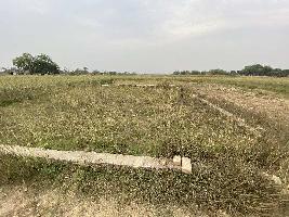  Agricultural Land for Sale in Sultanpur, Varanasi