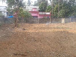  Residential Plot for Sale in Nadathara, Thrissur