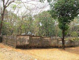  Residential Plot for Sale in Perumbillissery, Thrissur