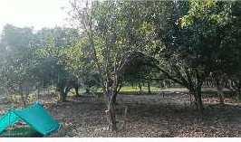  Agricultural Land for Sale in Kelwad, Nagpur