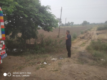  Agricultural Land for Sale in Bela, Bhandara