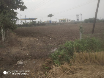  Agricultural Land for Sale in Bela, Bhandara