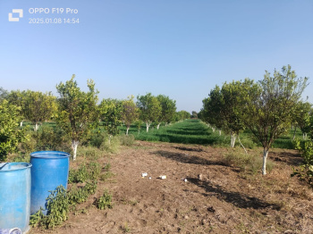  Agricultural Land for Sale in Kalameshwar, Nagpur