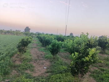  Agricultural Land for Sale in Kalameshwar, Nagpur