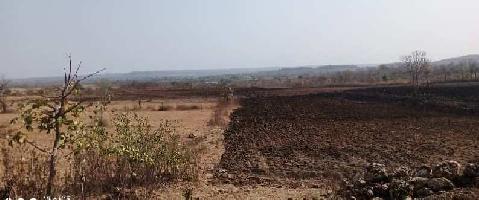  Agricultural Land for Sale in Mohapa, Nagpur