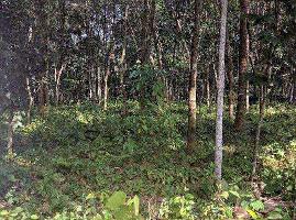  Agricultural Land for Sale in Pandalam, Pathanamthitta