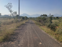  Agricultural Land for Sale in Sithayankottai, Dindigul