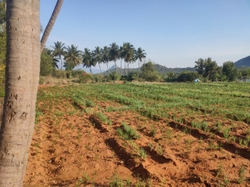 Agricultural Land for Sale in NH 45, Dindigul